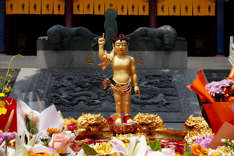 恭迎释迦如来圣诞——陕西各寺院举办浴佛祈福法会