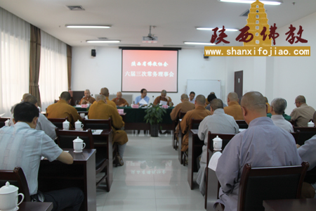 陕西省佛教协会六届三次常务理事会在西安召开(图6)
