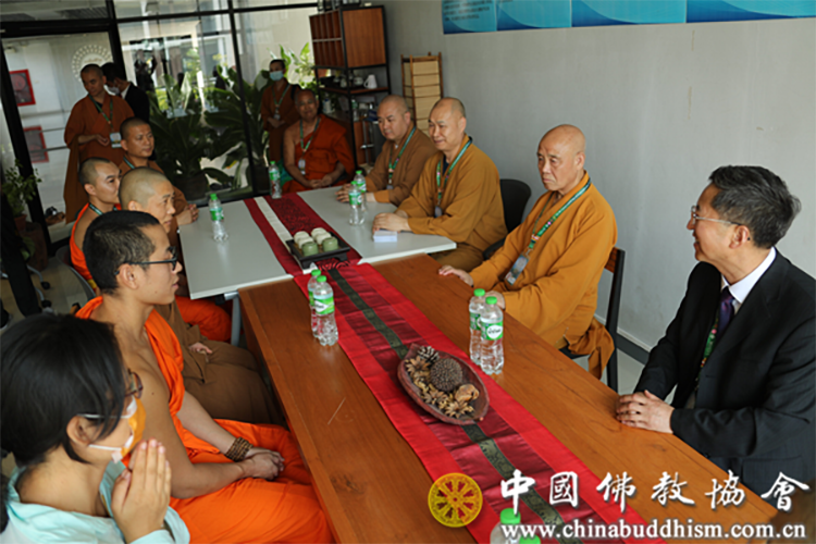 中国佛教代表团赴泰出席第18届联合国卫塞节庆祝活动(图10)