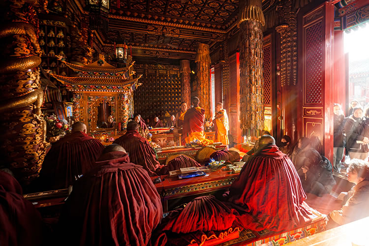 2025年广仁寺燃灯法会圆满(图4)