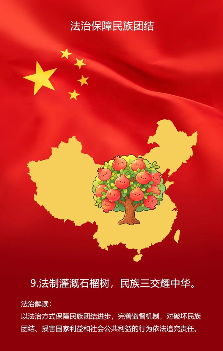 今日正式施行！广仁寺漫解《中华人民共和国民族团结进步促进法》(图10)
