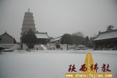 2012·慈恩·瑞雪