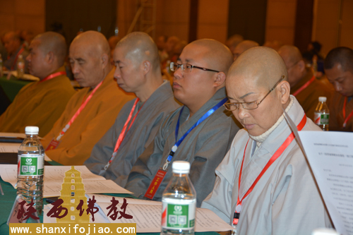 陕西省佛教协会第七次全省代表会议会场图片(图15)
