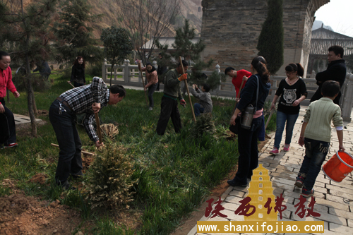华严寺开展植树活动(图13)