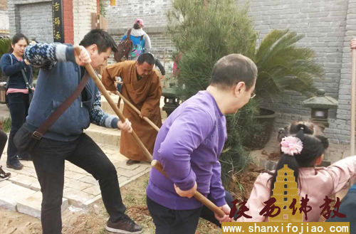 华严寺开展植树活动(图2)