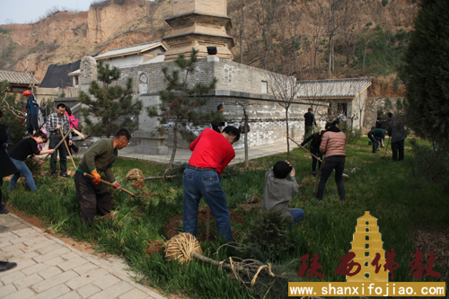 华严寺开展植树活动(图14)