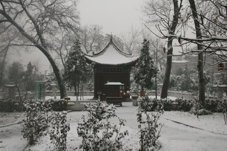 草堂寺龙年喜迎瑞雪(图2)