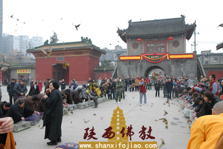 兴善寺水陆法会(图9)