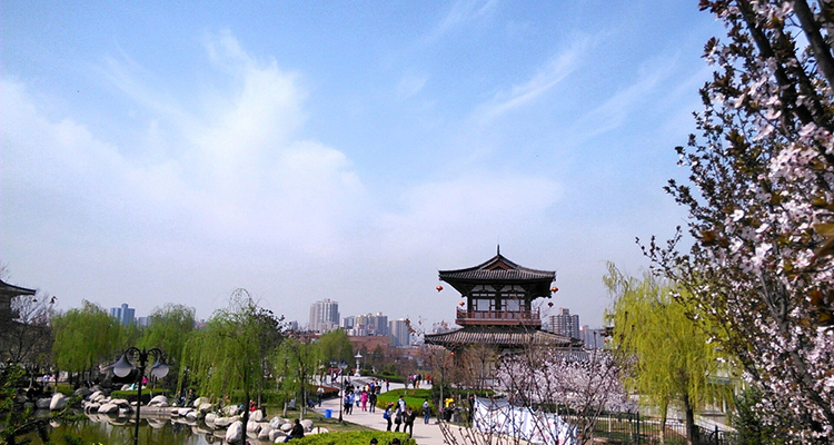 密宗祖庭青龙寺(图7)